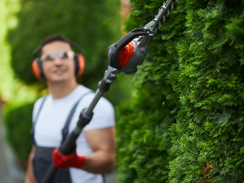 Servicio de Jardinería y mantenimiento exterior